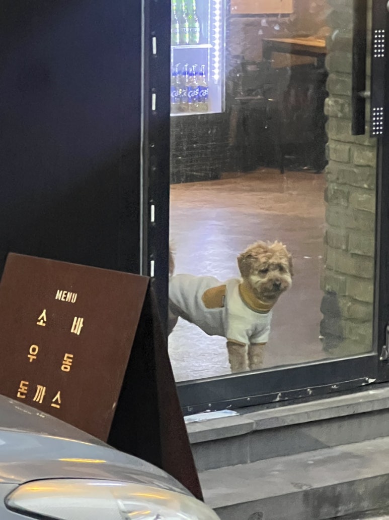 용담스트릿 이미지