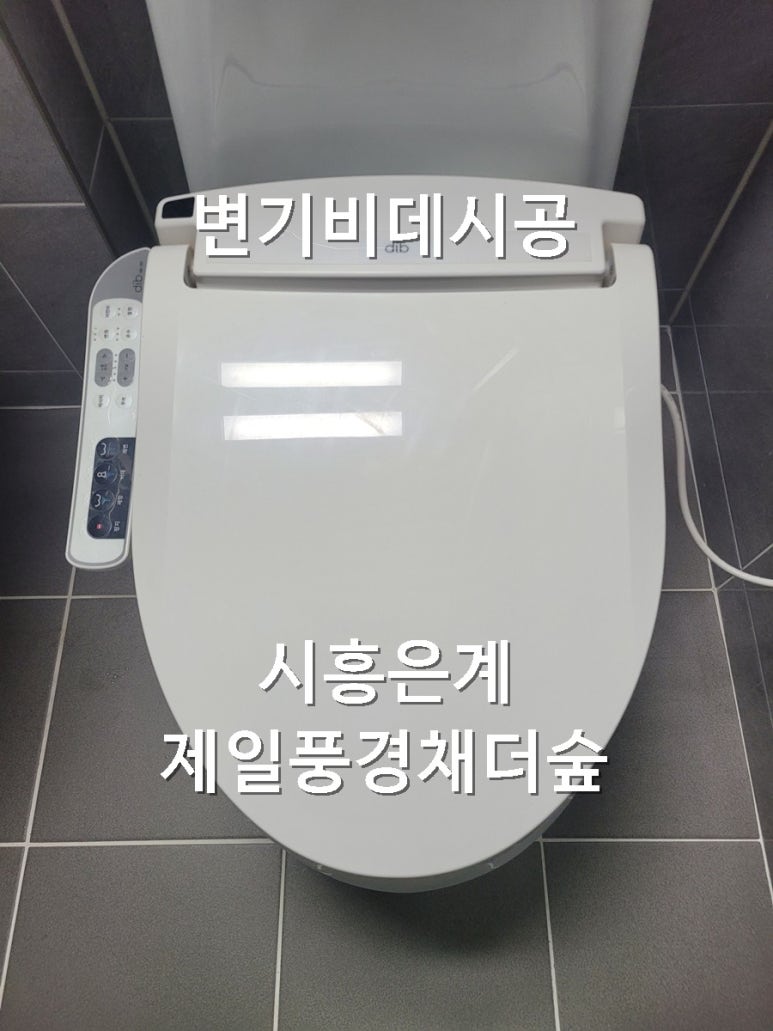대원비데 이미지