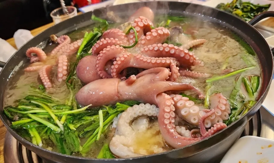해왕낙지 이미지
