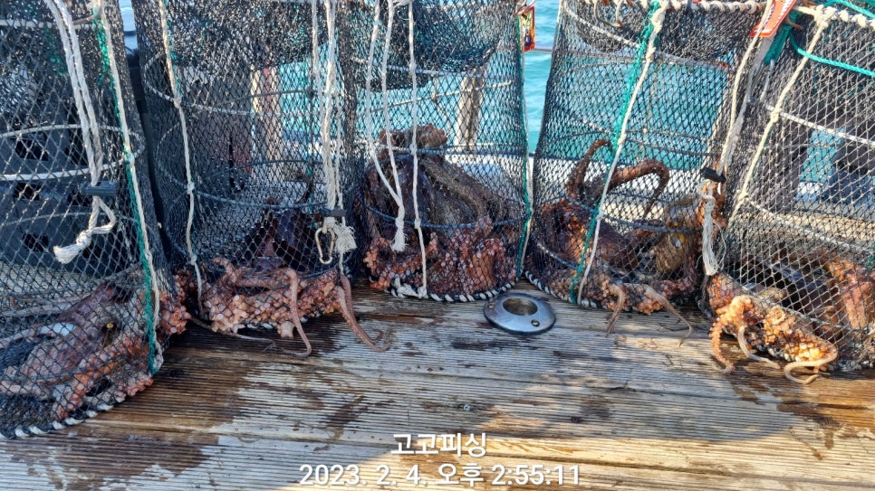 들어뽕피싱 이미지