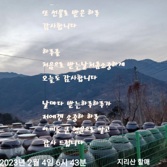 오늘의선물 이미지
