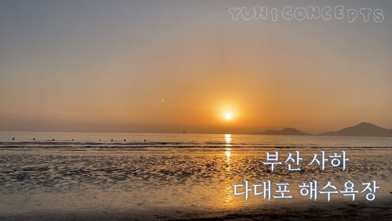 아롱별 이미지