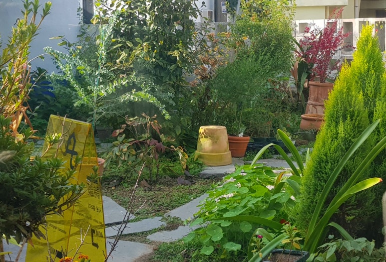 산수다방 이미지