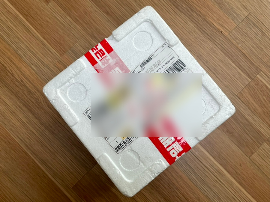 항아리장어 이미지