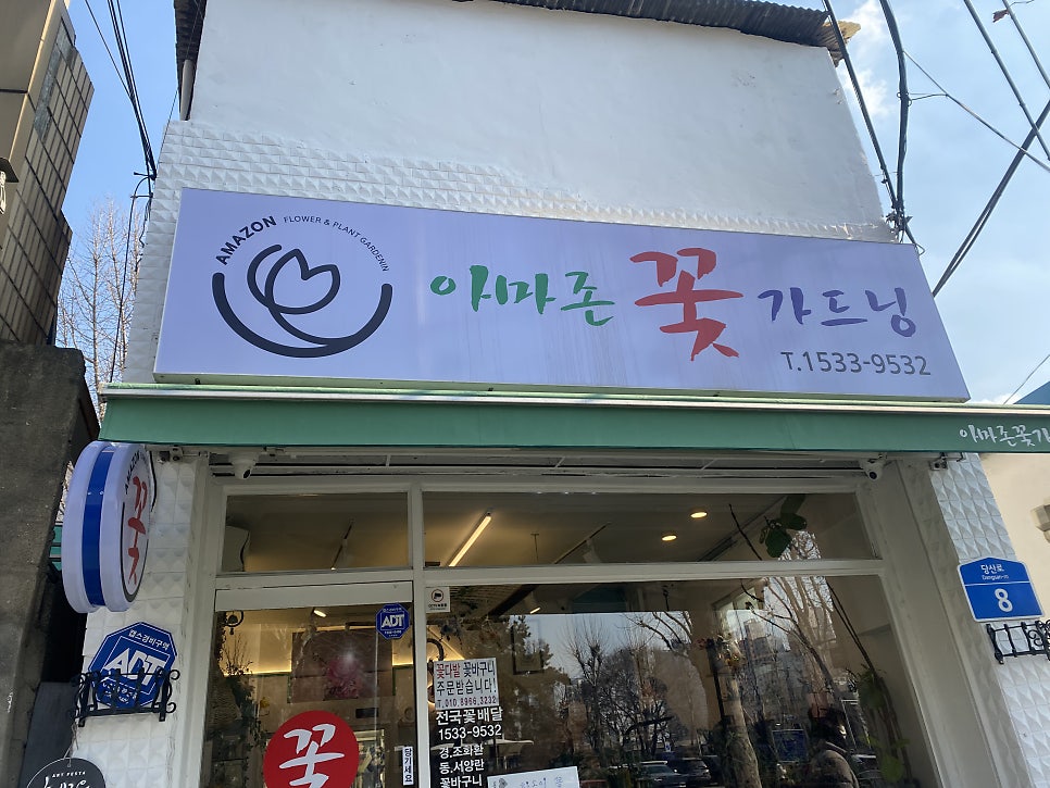아마존꽃가드닝 이미지