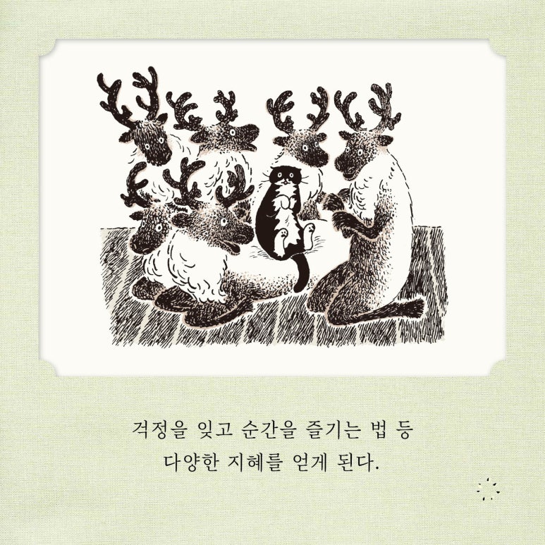 최연주 이미지