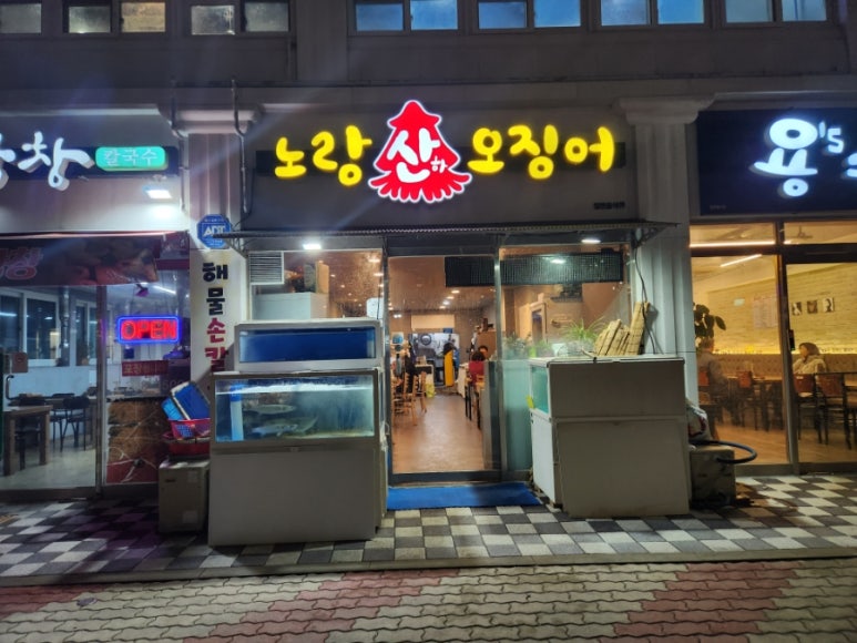 노랑산하오징어 이미지