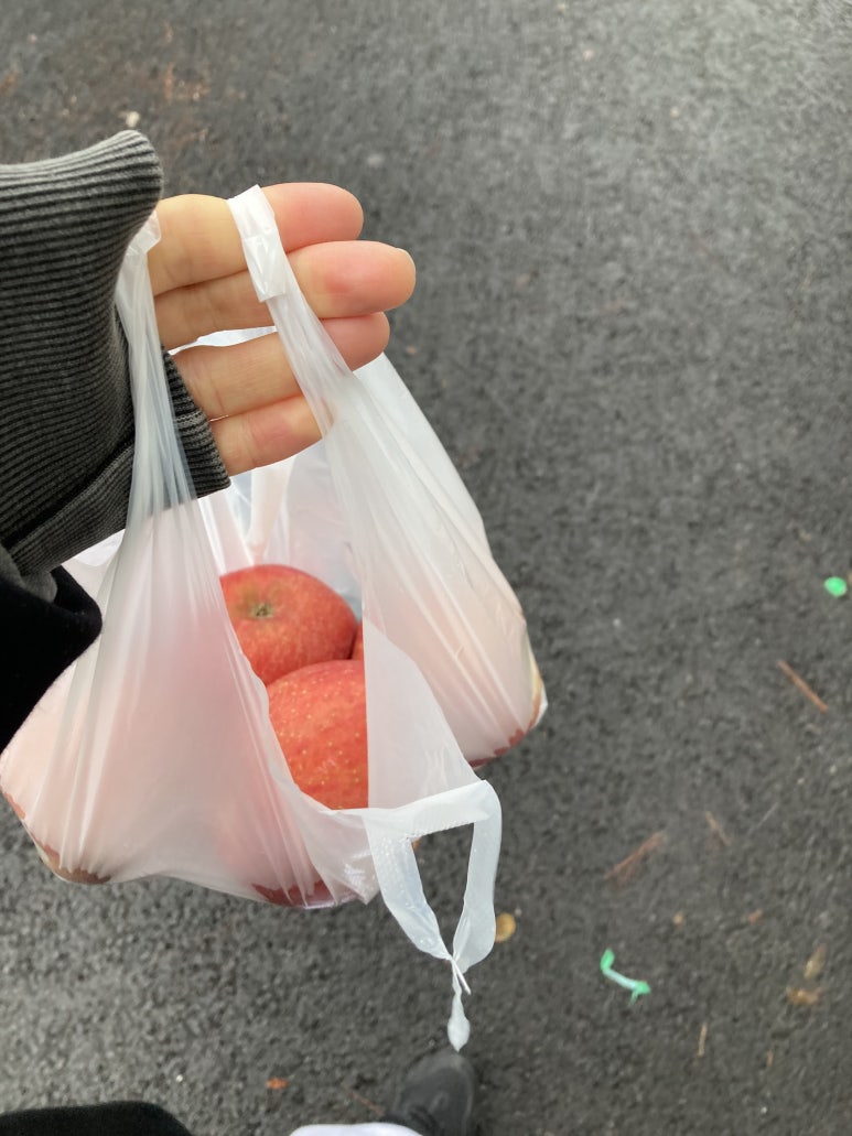 이화청과 이미지