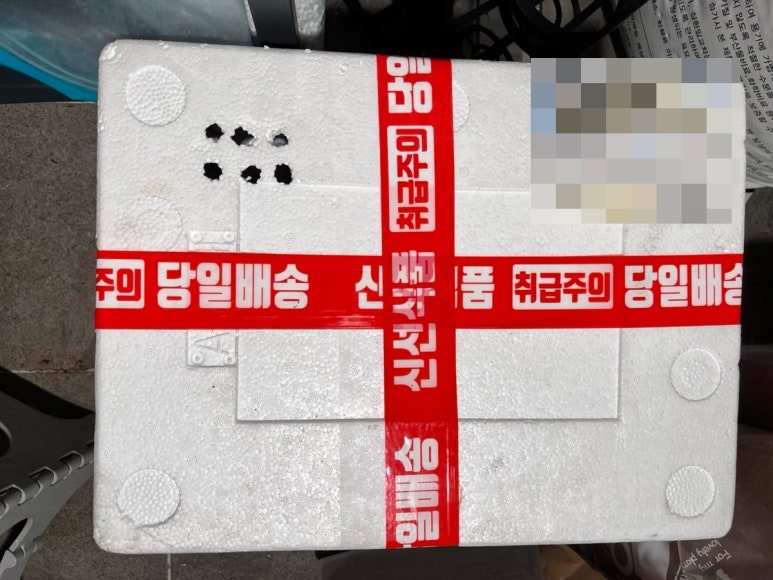 예담화 이미지