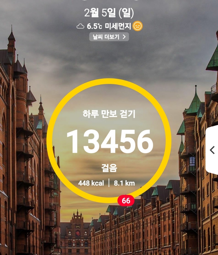 설보리 이미지
