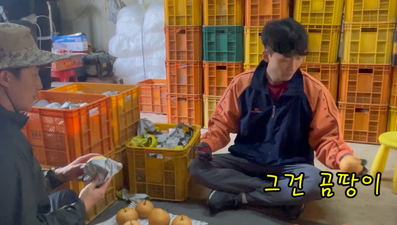 장터농장 이미지