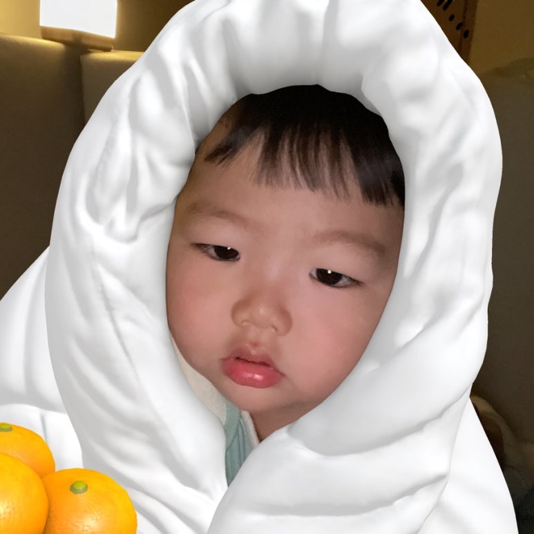연호카 이미지