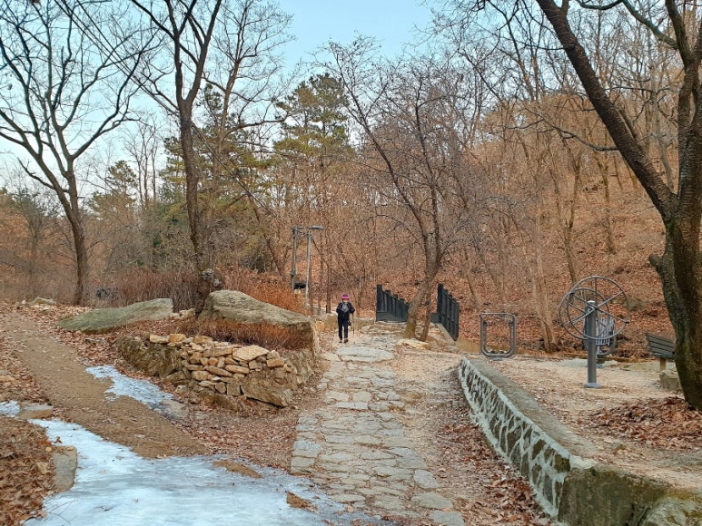 수락샘골보리밥 이미지