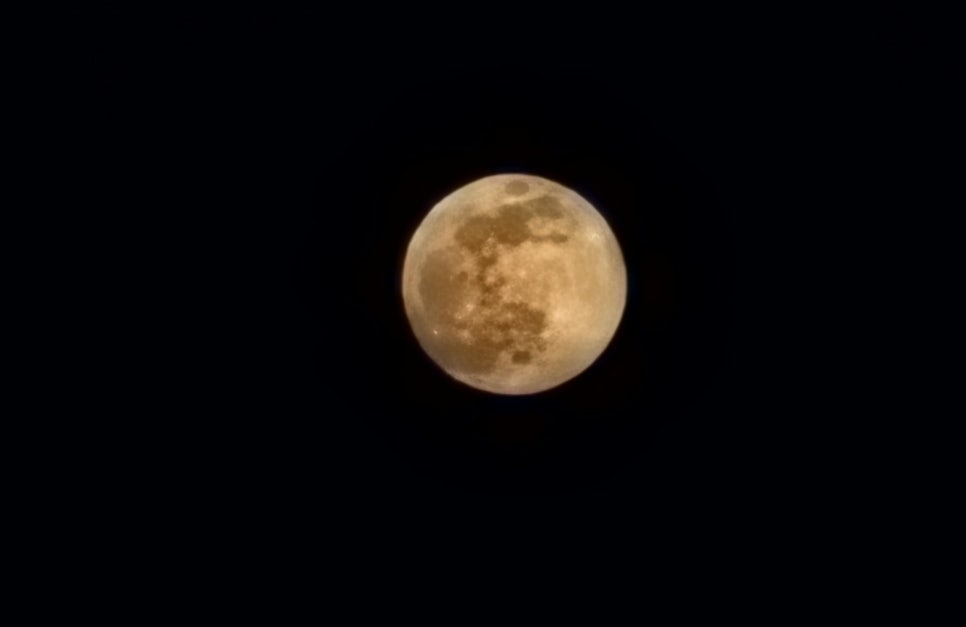 개스토랑 이미지