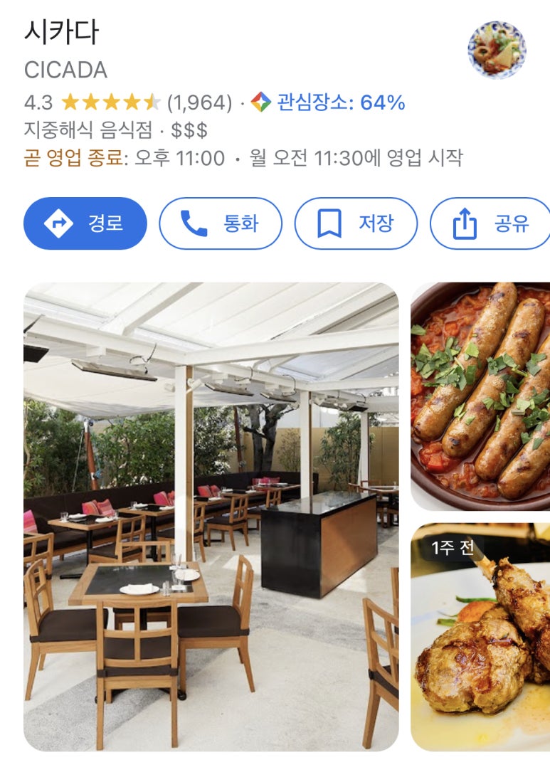 시카다(cicada) 이미지