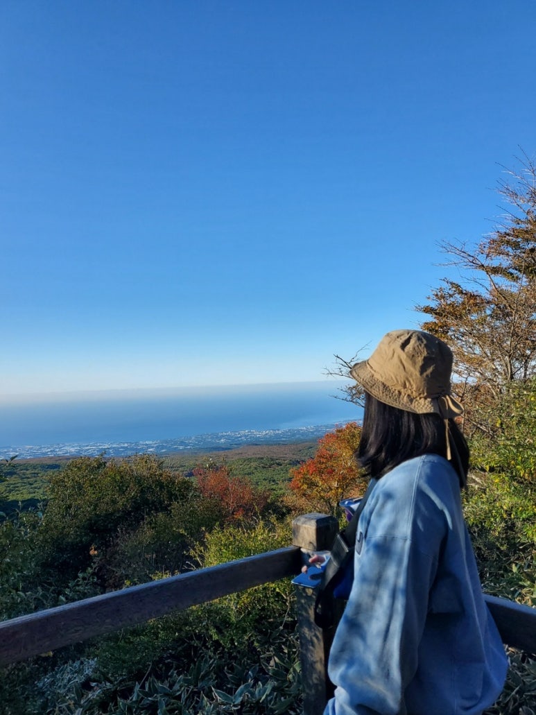 영실떡집 이미지