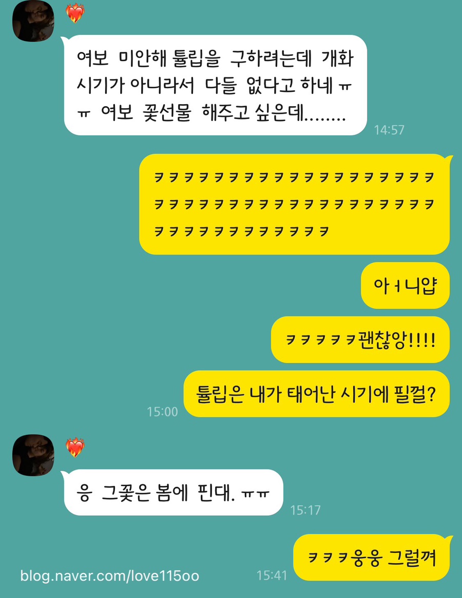 이딜리크 이미지