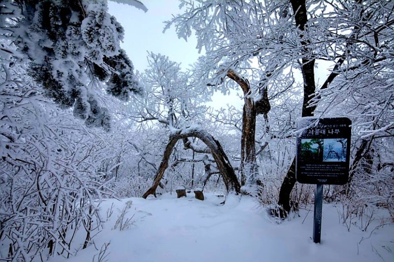 천년지하수(주) 이미지
