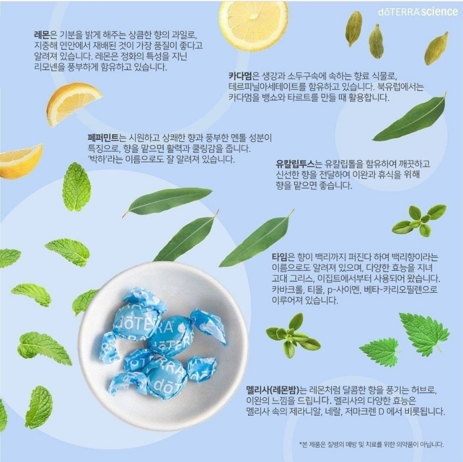 이지테라피 이미지