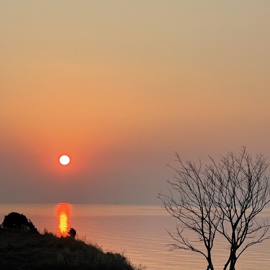 bhc광주학동점 이미지