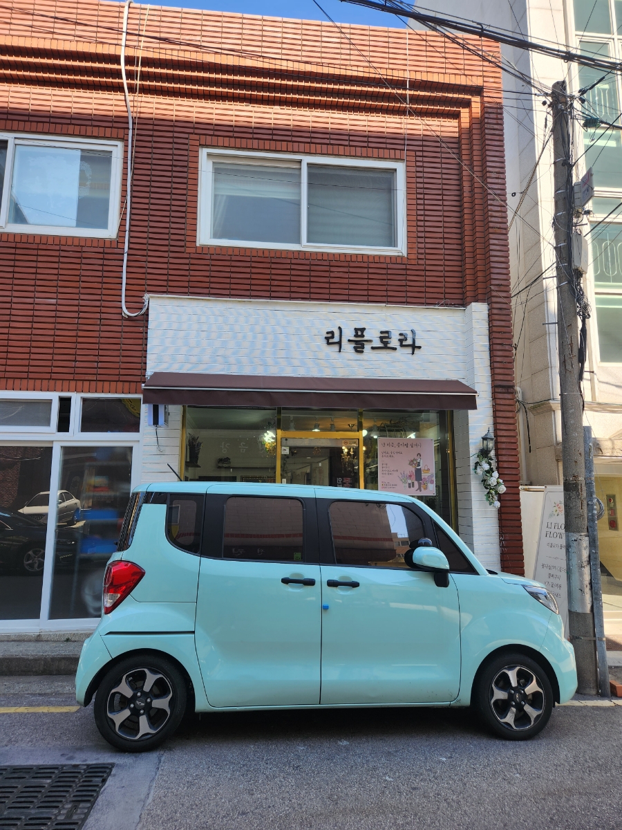 리플로라 이미지