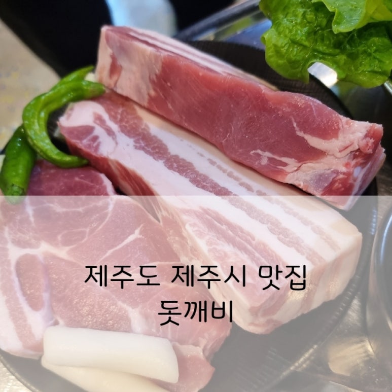 돗깨비 이미지