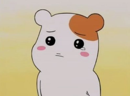 라이브휘트니스 이미지