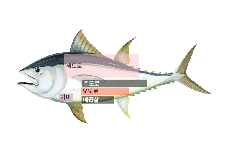 오도로참치 이미지