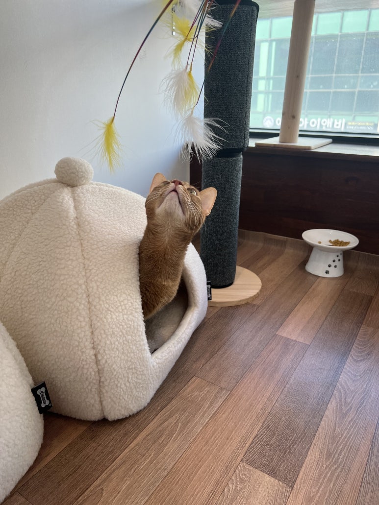 철이민박 이미지