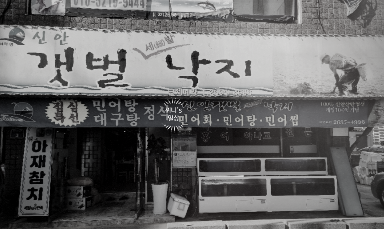 신안갯벌세발낙지 이미지