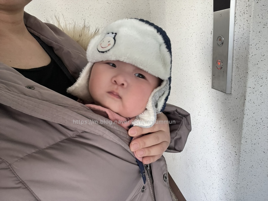 김인경제육집 이미지