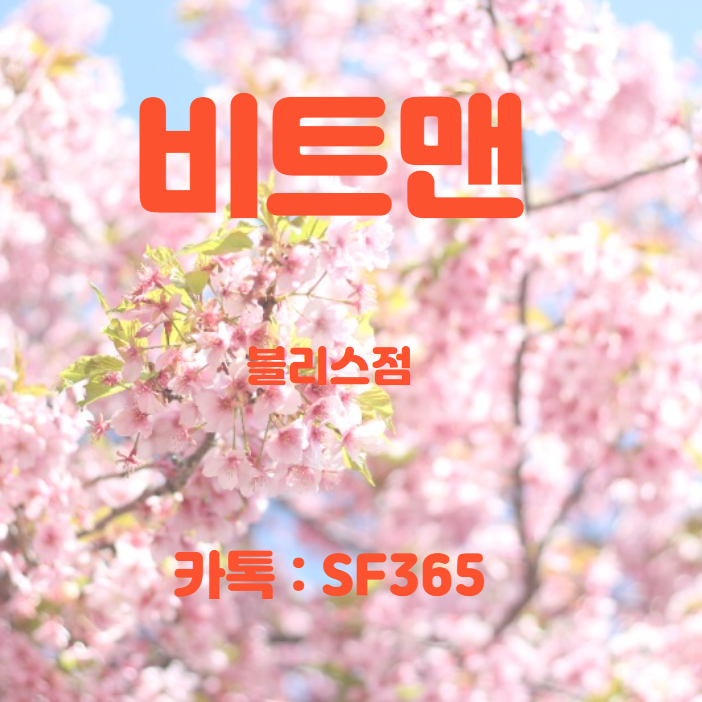 비트타워 이미지
