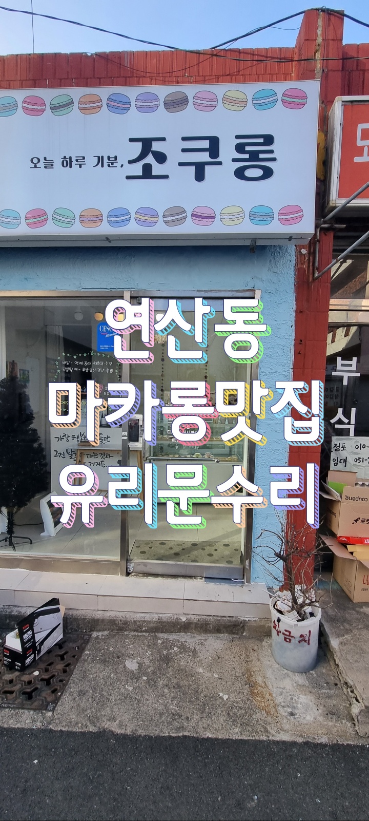 조쿠롱 이미지