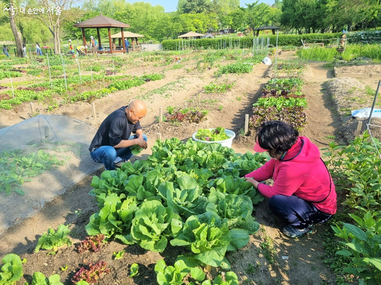 송촌농장 이미지