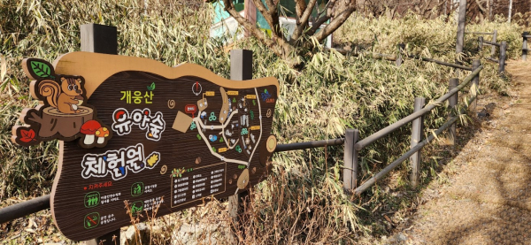 개웅산 유아숲체험원 이미지
