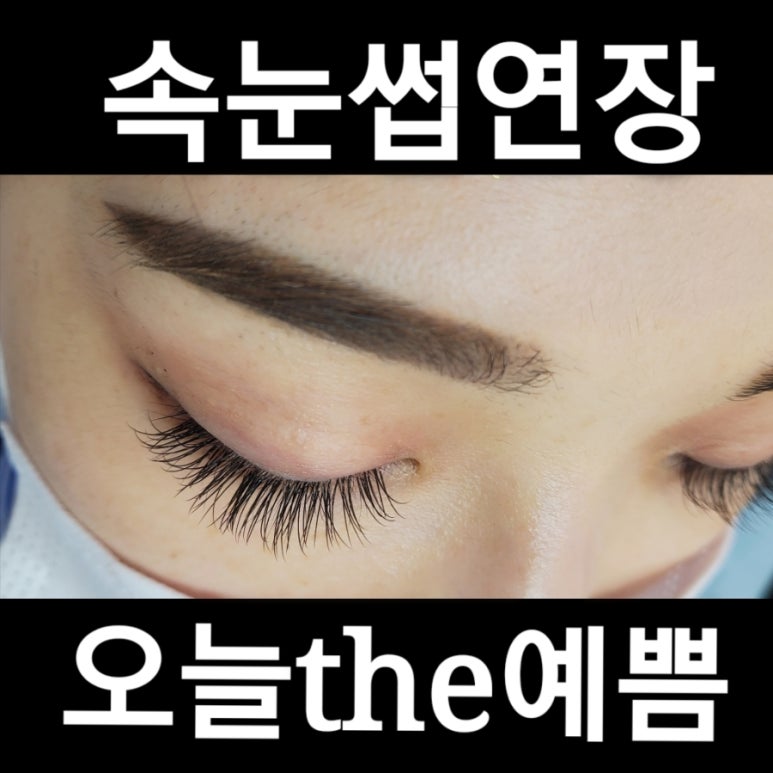 the 예뻐지러 이미지