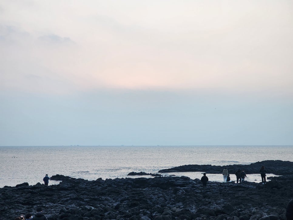 79수산 이미지