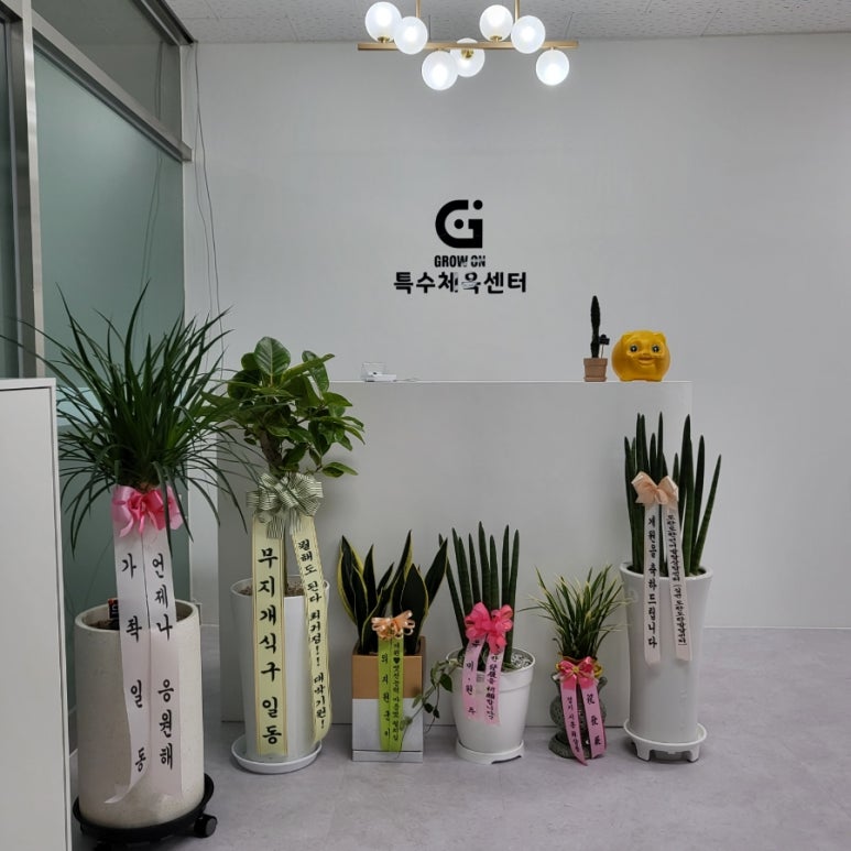 온더그로우 이미지