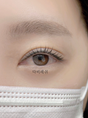 다비래쉬 이미지