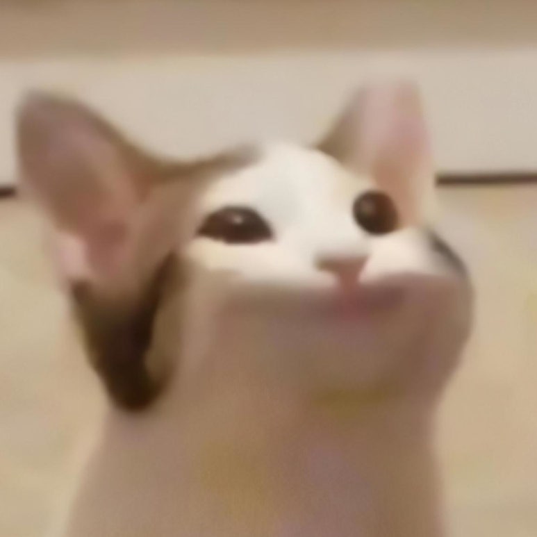 아이콘PC 이미지
