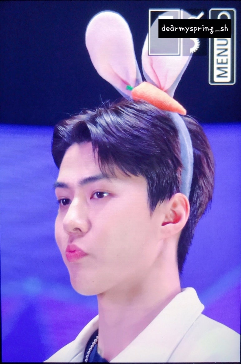 유니드삭스 이미지
