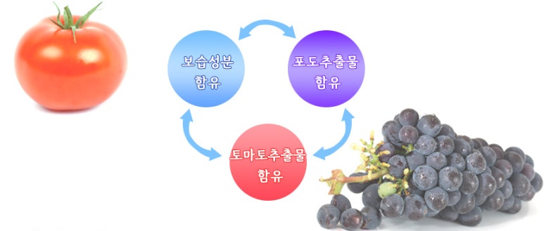 그린케어월드주 이미지