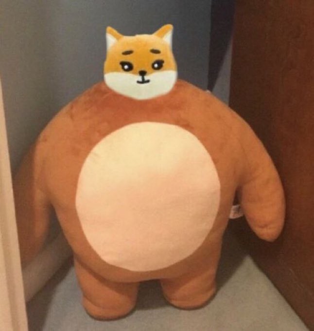 케이손 이미지