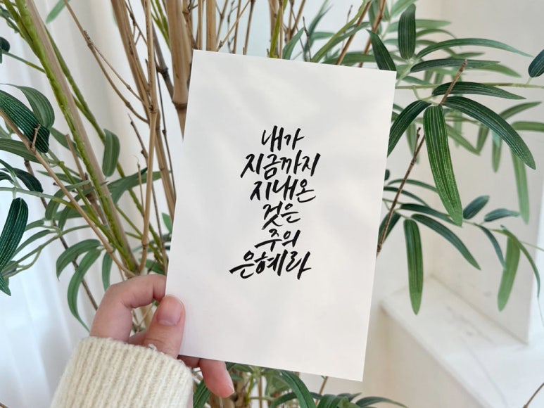 까사리까 이미지