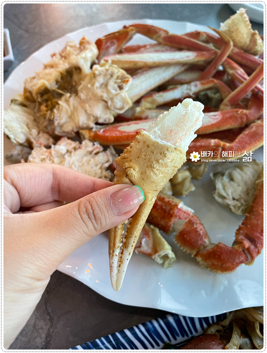 바다를담다 이미지