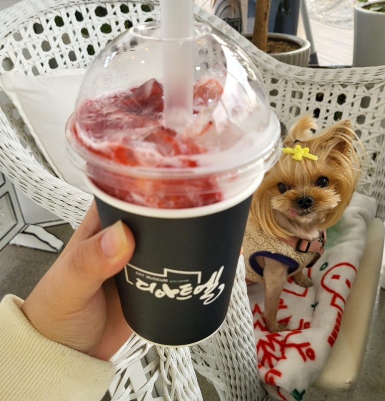 카페플러스카페인충전 이미지
