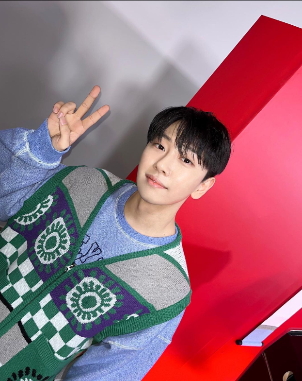 브이마크 이미지