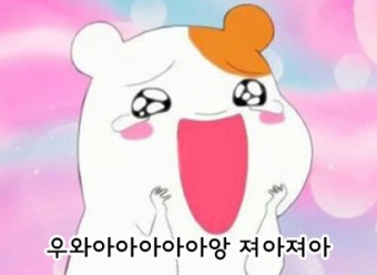 써니사이드밀크쉐이크 이미지