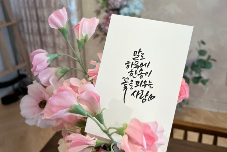 까사리까 이미지