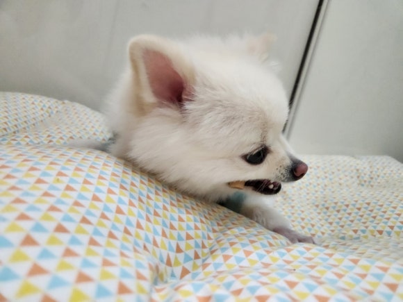 굿모닝24시 이미지